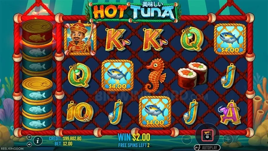 aaajili Comparing Online vs Land Casinos