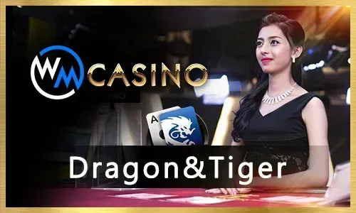 New Player Bonuses